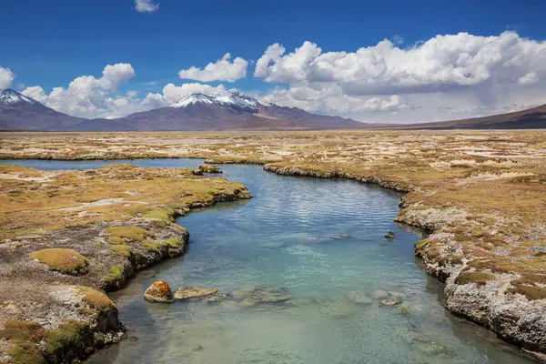 Kuzey Şili 'nin fantastik manzaraları, Atacama Çölü. Güzel, ilham verici doğal manzaralar. Yüksek dağlarda Kalgaspores.