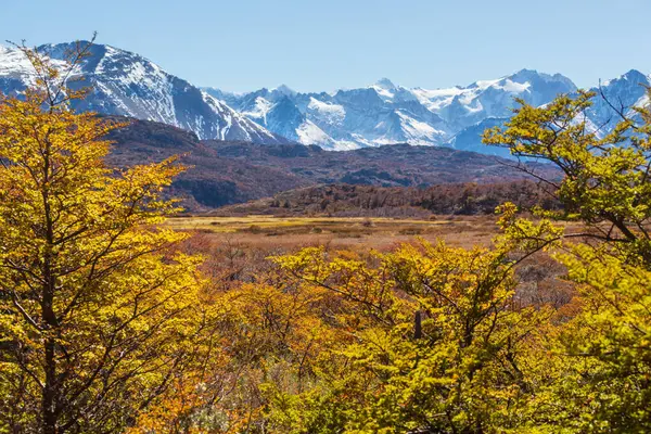 Patagonya dağlarında sonbahar sezonu, Güney Amerika, Arjantin
