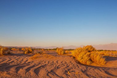 Gün doğumunda çöl, Şili, Atacama
