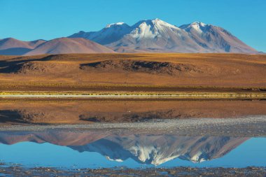 Kuzey Şili 'nin fantastik manzaraları, Atacama Çölü. Güzel, ilham verici doğal manzaralar. Yüksek dağlarda Kalgaspores.