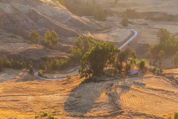 Peru, Güney Amerika 'daki yeşil dağlardaki tarım arazileri