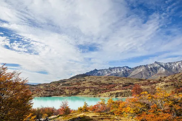 Patagonya dağlarında sonbahar sezonu, Güney Amerika, Arjantin