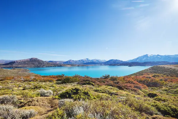 Patagonya dağlarında güneşli bir günde güzel bir göl. Arjantin, Güney Amerika 'da olağanüstü doğal manzaralar