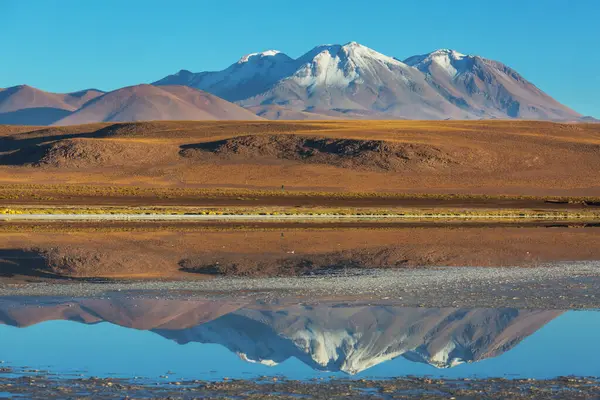 Kuzey Şili 'nin fantastik manzaraları, Atacama Çölü. Güzel, ilham verici doğal manzaralar. Yüksek dağlarda Kalgaspores.