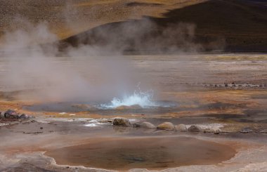 Gündoğumunda Altiplano 'daki jeotermal alan, Şili, Güney Amerika