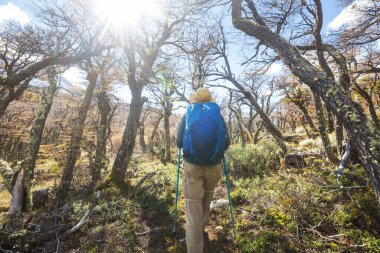 Sonbahar dağlarında yürüyüş. Sonbahar mevsimi teması.