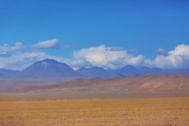 Kuzey Şili 'nin fantastik manzaraları, Atacama Çölü. Güzel, ilham verici doğal manzaralar. Yüksek dağlarda Kalgaspores.