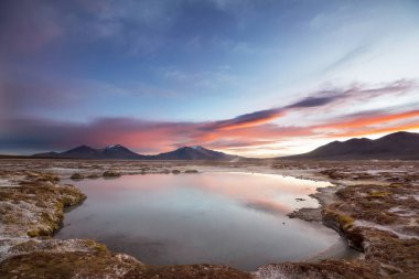 Atacama Çölü, Şili, Güney Amerika 'da Doğal Sıcak Bahar.