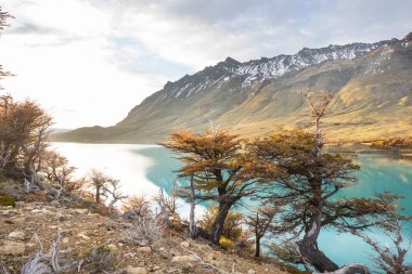 Patagonya dağlarında sonbahar sezonu, Güney Amerika, Arjantin