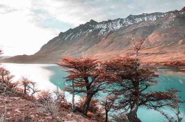 Patagonya dağlarında sonbahar sezonu, Güney Amerika, Arjantin