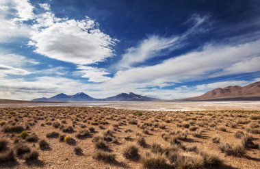 Kuzey Şili 'nin fantastik manzaraları, Atacama Çölü. Güzel, ilham verici doğal manzaralar. Yüksek dağlarda Kalgaspores.
