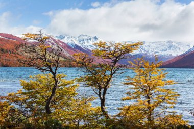 Güz mevsiminde güzel göl