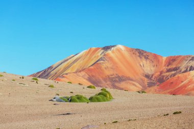 Kuzey Şili 'nin fantastik manzaraları, Atacama Çölü. Güzel, ilham verici doğal manzaralar. Yüksek dağlarda Kalgaspores.