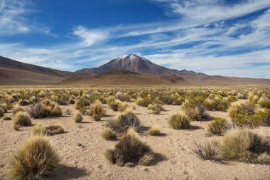 Kuzey Şili 'nin fantastik manzaraları, Atacama Çölü. Güzel, ilham verici doğal manzaralar. Yüksek dağlarda Kalgaspores.