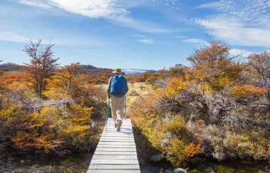 Sonbahar dağlarında yürüyüş. Sonbahar mevsimi teması.