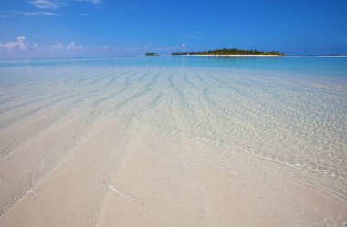 Güzel Maldivler plajı. Doğal güzel bir arka plan..