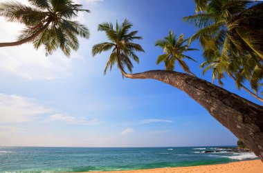 Tropikal sahildeki güzel yaz manzaraları. Tatil arkaplanı.