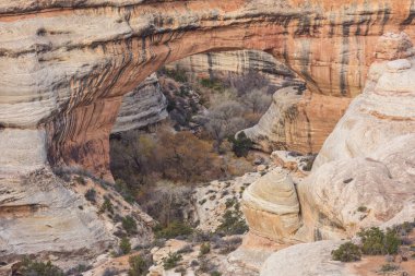 Doğal köprülerde yürüyüş NM, Utah, ABD