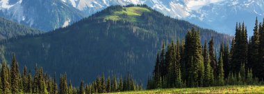 Yaz sezonunda yeşil dağlar çayır