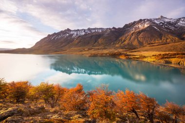 Perito Moreno Ulusal Parkı, Arjantin, Güney Amerika. Güzel renkli sonbahar mevsimi.