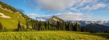 Yaz sezonunda yeşil dağlar çayır