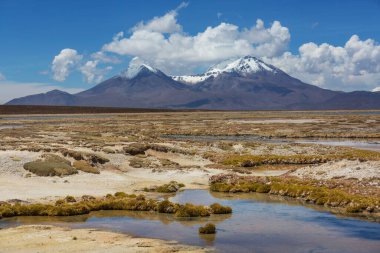 Kuzey Şili 'nin fantastik manzaraları, Atacama Çölü. Güzel, ilham verici doğal manzaralar. Yüksek dağlarda Kalgaspores.