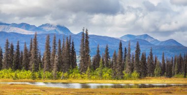 Yaz mevsiminde Kanada Kayalıkları 'nda resim gibi dağ manzarası