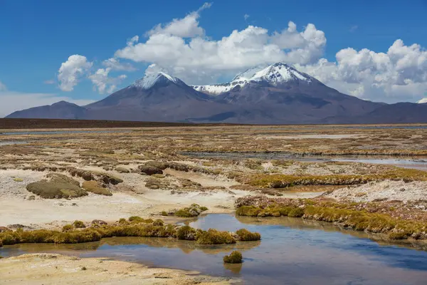 Kuzey Şili 'nin fantastik manzaraları, Atacama Çölü. Güzel, ilham verici doğal manzaralar. Yüksek dağlarda Kalgaspores.
