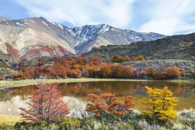 Güz mevsiminde güzel göl
