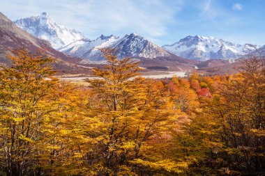 Dağlarda renkli sonbahar mevsimi