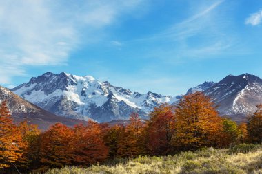 Dağlarda renkli sonbahar mevsimi