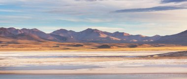 Kuzey Şili 'nin fantastik manzaraları, Atacama Çölü. Güzel, ilham verici doğal manzaralar. Yüksek dağlarda Kalgaspores.