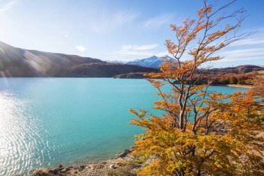 Dağlarda renkli sonbahar mevsimi