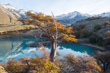 Dağlarda renkli sonbahar mevsimi