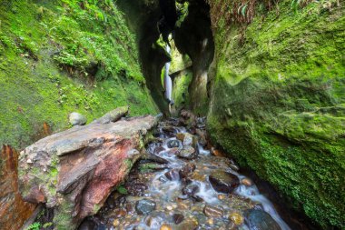Kanada dağlarında güzel şelale