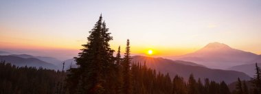 Mount Rainier Ulusal Parkı kış mevsiminde gün doğumunda, ABD, Washington