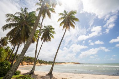 Tropikal sahildeki güzel yaz manzaraları. Tatil arkaplanı.