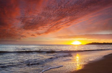 Okyanus sahili gün batımında doğal arka plan için