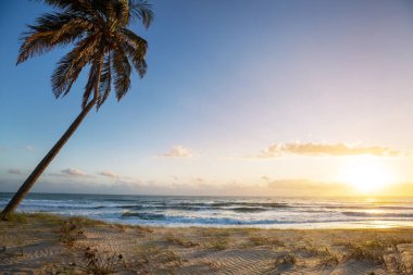 Tropikal sahildeki güzel yaz manzaraları. Tatil arkaplanı.