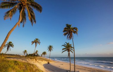 Tropikal sahildeki güzel yaz manzaraları. Tatil arkaplanı.