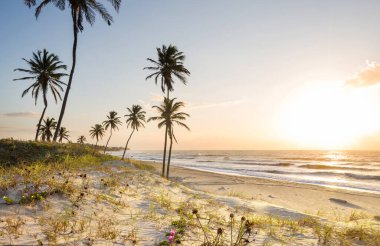 Tropikal sahildeki güzel yaz manzaraları. Tatil arkaplanı.
