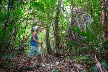 Güney Şili 'de ormanda yürüyüş