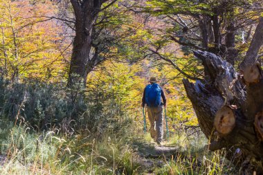 Sonbahar dağlarında yürüyüş. Sonbahar mevsimi teması.