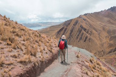 Pallay Pançolu Yürüyüşçü, alternatif Gökkuşağı Dağları, Peru.