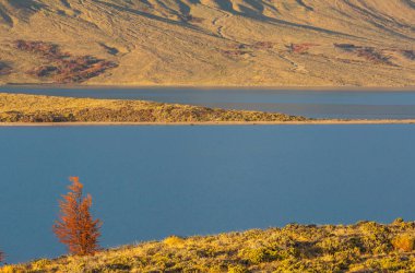 Perito Moreno Ulusal Parkı, Arjantin, Güney Amerika. Güzel renkli sonbahar mevsimi.