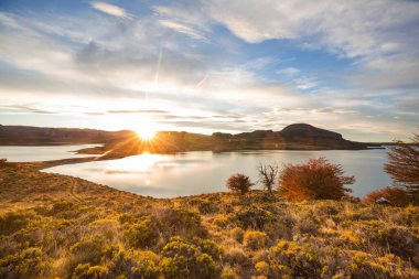 Perito Moreno Ulusal Parkı, Arjantin, Güney Amerika. Güzel renkli sonbahar mevsimi.
