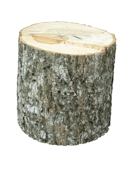 Old Tree Stump Isolated White Background — Stock Photo, Image
