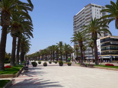 Salou, Spain - 04.07.2022: Palm tree alley along the sea in one of the most beautiful tourist cities