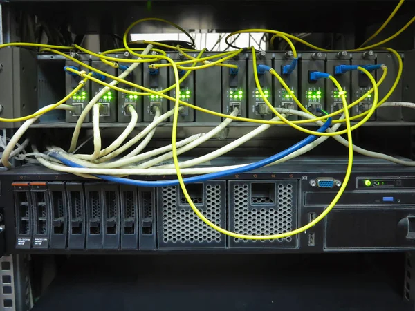 连接到服务器机架交换机的网络电缆的关闭 — 图库照片