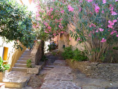 Colliure, Fransa; 8 Temmuz - 2023: Fransa 'nın güney kıyısındaki Collioure kasabasının ortaçağ sokaklarının çok güzel manzaraları